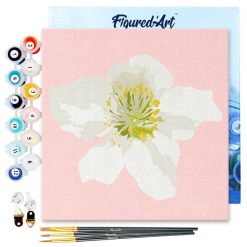 Figuredart Mini Peinture Par Numros 20X20Cm Avec Cadre Fleur D'Eglantier | Fleurs