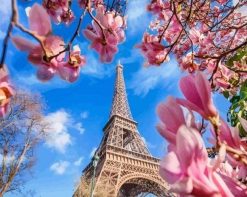 Figuredart Tour Eiffel Et Magnolias | Fleurs