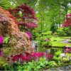 Figuredart Parc Fleuri | Fleurs