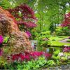 Figuredart Parc Fleuri | Paysages