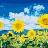 Figuredart Ciel Bleu Et Tournesols | Fleurs