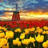 Figuredart Moulin Et Tulipes Rouges Et Jaunes | Paysages