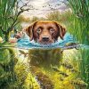 Figuredart Broderie Diamant - Chien Dans Le Ruisseau | Broderie Diamant Animaux