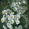 Figuredart Marguerites Blanches | Fleurs