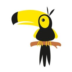 Figuredart Peinture Enfants Toucan | Enfants