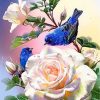 Figuredart Broderie Diamant - Fleurs Blanches Et Oiseaux Bleus | Broderie Diamant Animaux