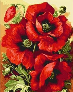 Figuredart Coquelicots | Fleurs