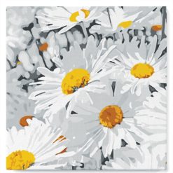 Figuredart Mini Peinture Par Numros 20X20Cm Avec Cadre Jolies Marguerites | Fleurs