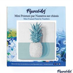 Figuredart Mini Peinture Par Numros 20X20Cm Avec Cadre Ananas | Fleurs