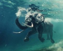 Figuredart Elphant Nageant Dans L'Eau | Animaux