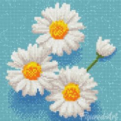 Figuredart Mini Diamond Painting 25X25Cm - Jolies Marguerites Blanches | Broderie Diamant Fleurs