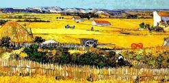 Figuredart Rcolte - Van Gogh | Paysages