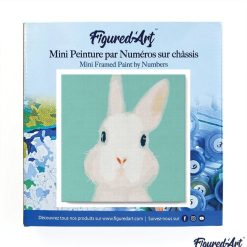 Figuredart Mini Peinture Par Numros 20X20Cm Avec Cadre Lapin Blanc | Animaux