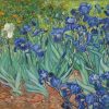 Figuredart Van Gogh Iris | Fleurs