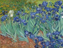 Figuredart Van Gogh Iris | Fleurs